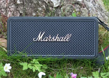 Marshall Middleton II an einem Birkenstamm mit Blumen rundherum