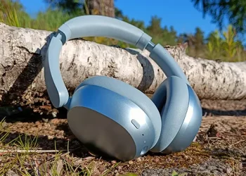 Redmi Headphones Neo an einem gefällten Birkenstamm