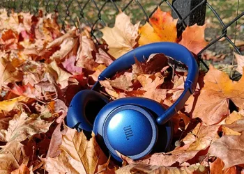 Blauer JBL Live 780NC im Sonnenschein auf trockenen Ahornblättern liegend