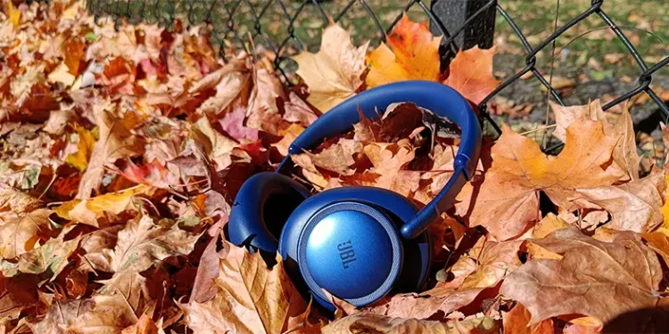 Blauer JBL Live 780NC im Sonnenschein auf trockenen Ahornblättern liegend