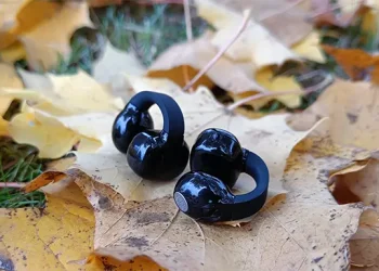 Schwarze Sennheiser ACCENTUM Clip auf getrocknetem Herbstlaub auf dem Boden